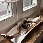 Evagelia's Stylish With Complimentary Breakfast Basket Скопелос